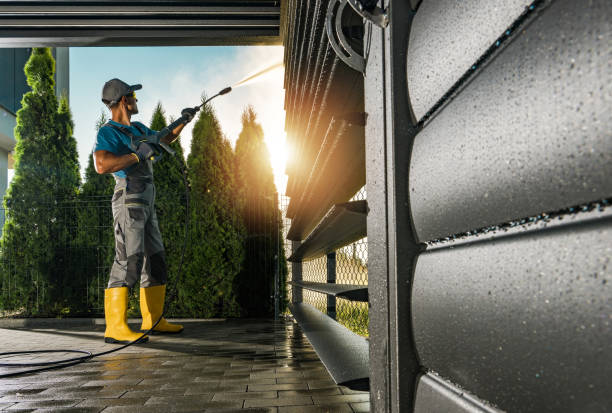 Animal Enclosure Cleaning in Burlington, KY